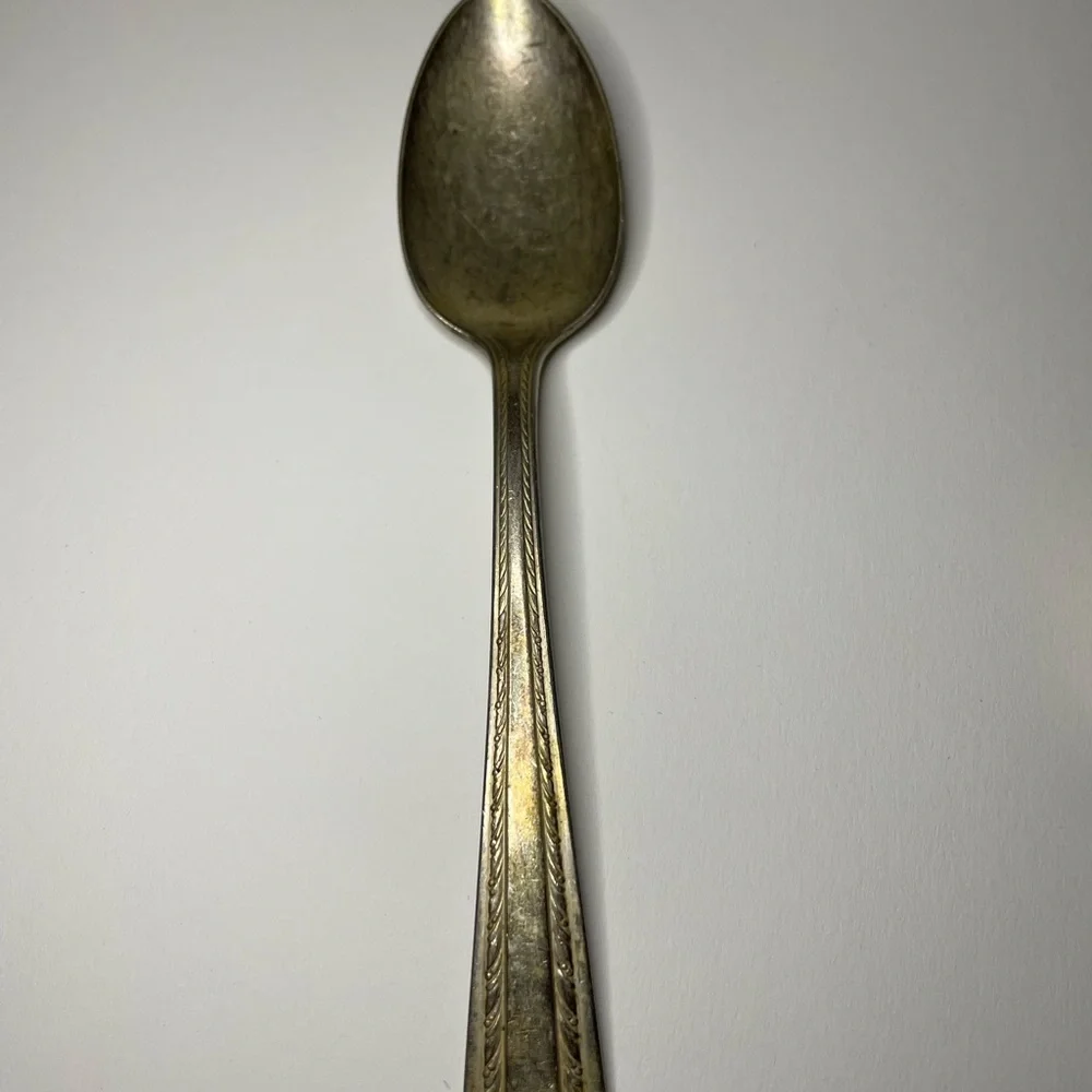 Vintage American Silver Co.Decorative Silverplate Serving Spoons - Set of 2